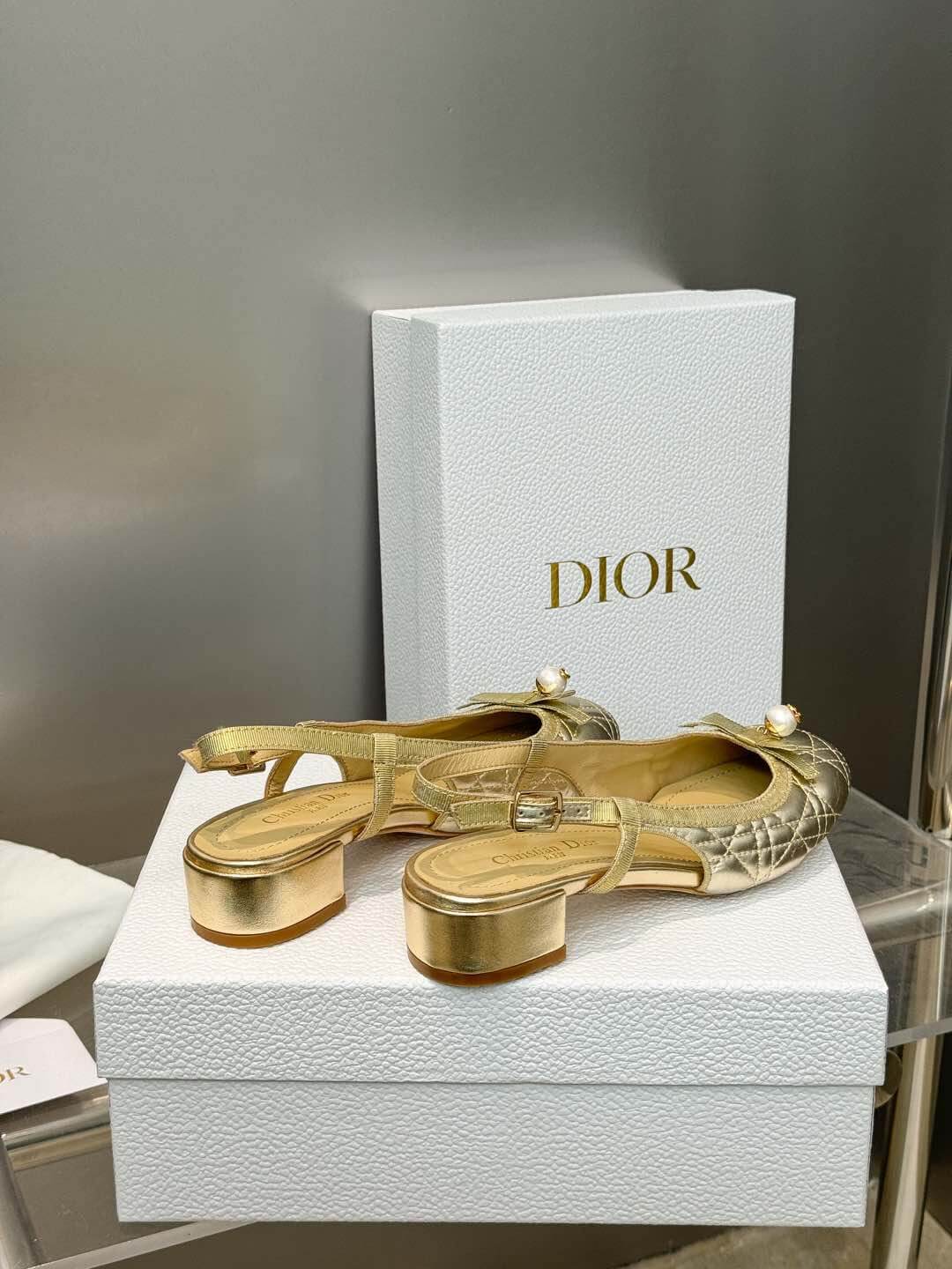 D10r Ballet Slingback Pump