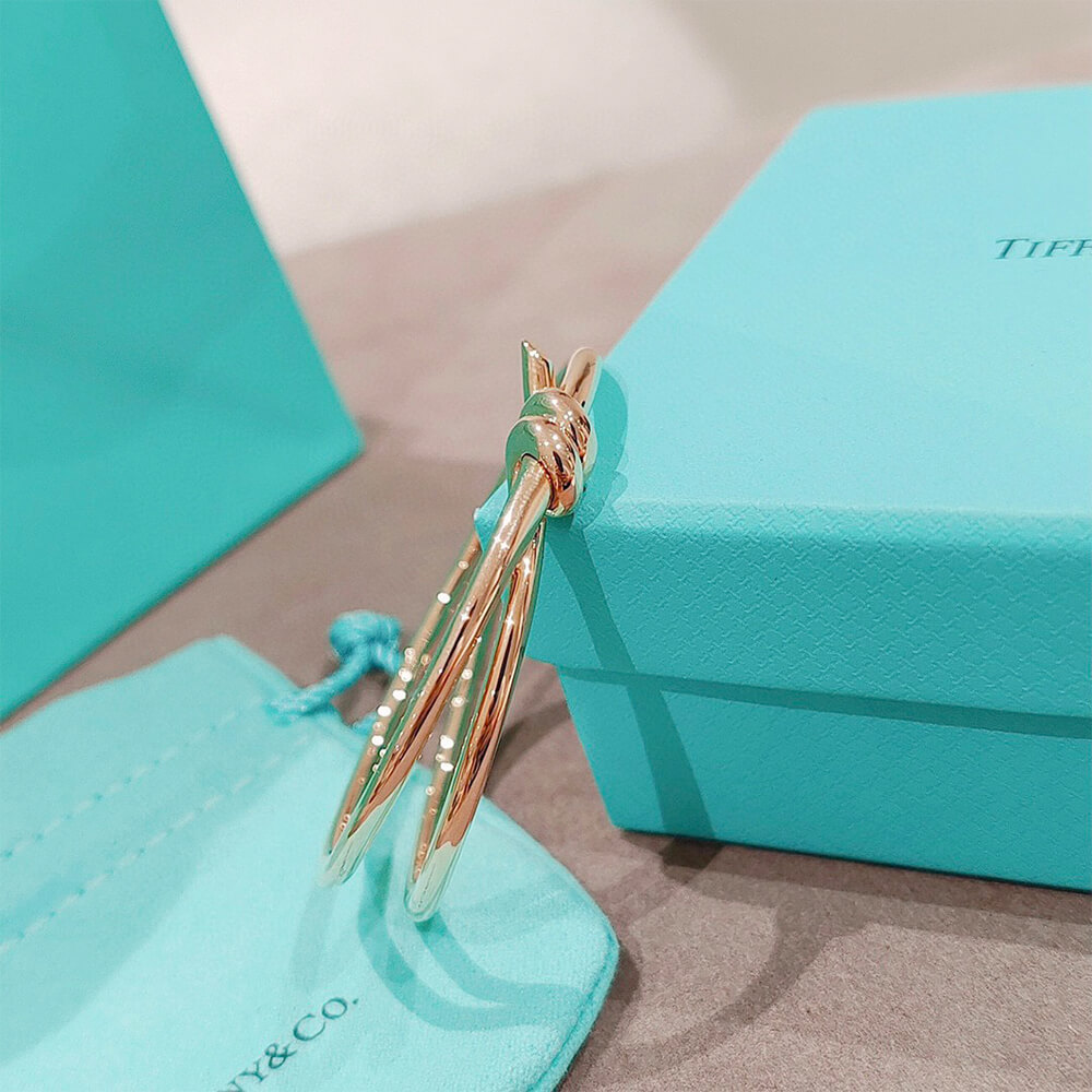 T*f*ny Knot Double Row Hinged Bangle