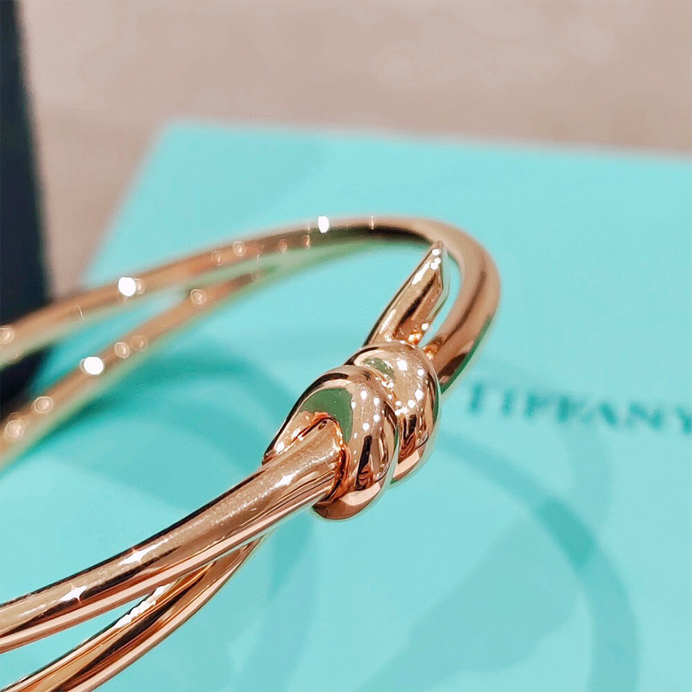 T*f*ny Knot Double Row Hinged Bangle