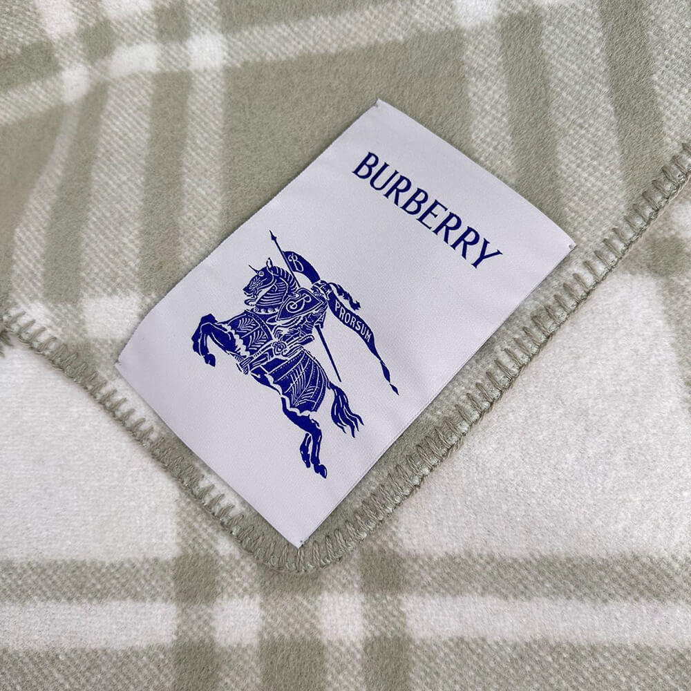 Bv*b*rry Check Cashmere Scarf