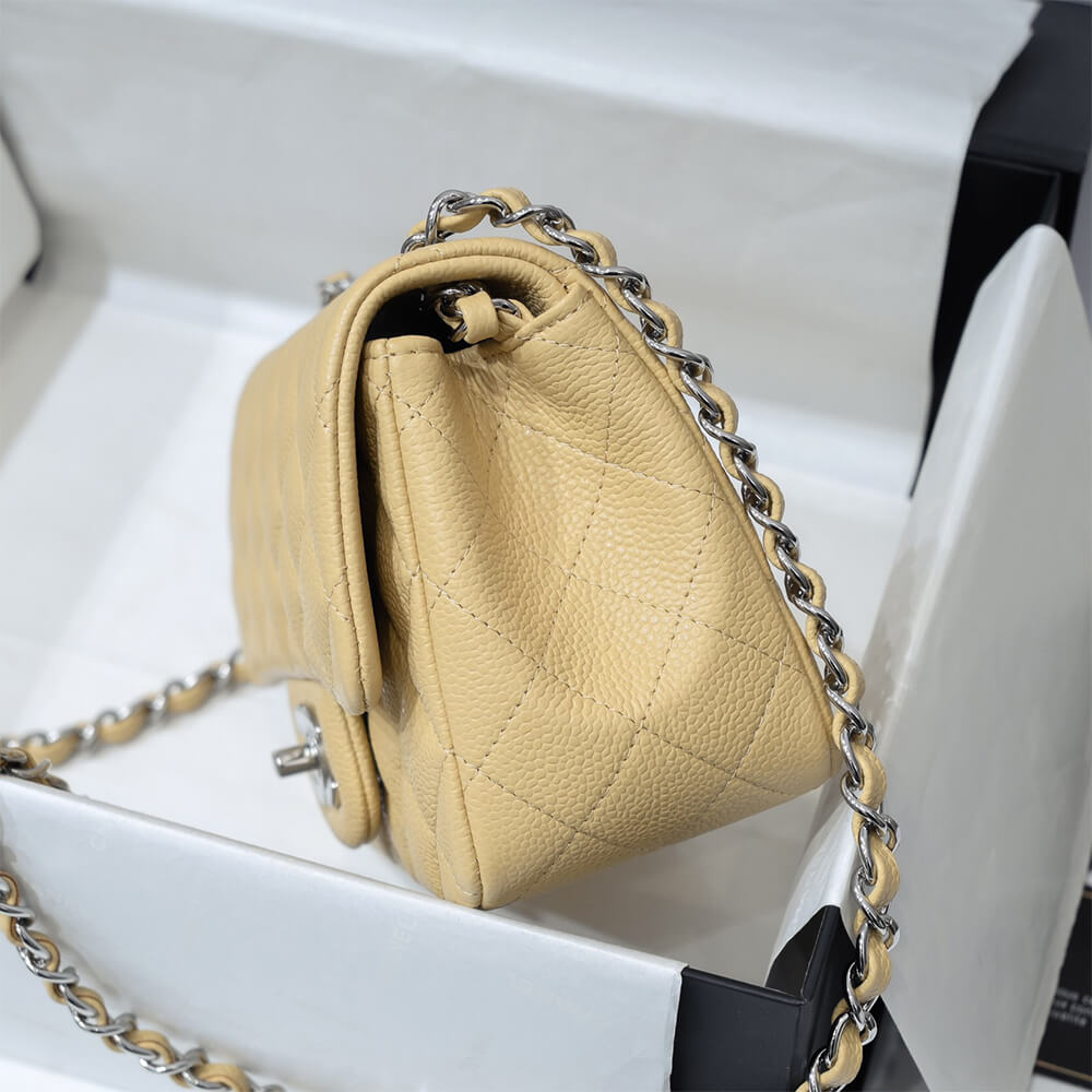 Ch**el MINI FLAP BAG