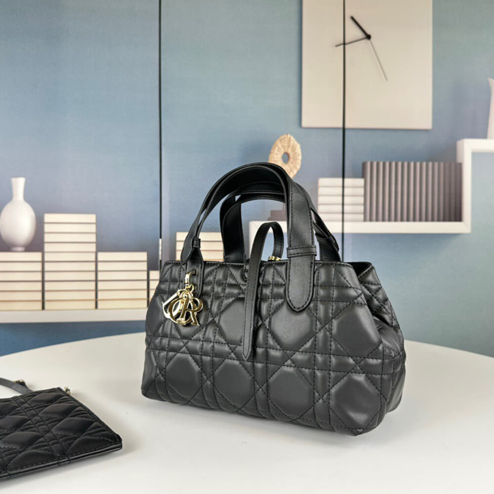 SMALL D10r TOUJOURS BAG