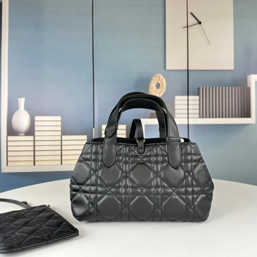 SMALL D10r TOUJOURS BAG