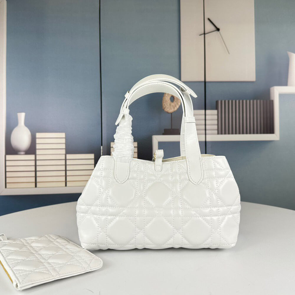 SMALL D10r TOUJOURS BAG