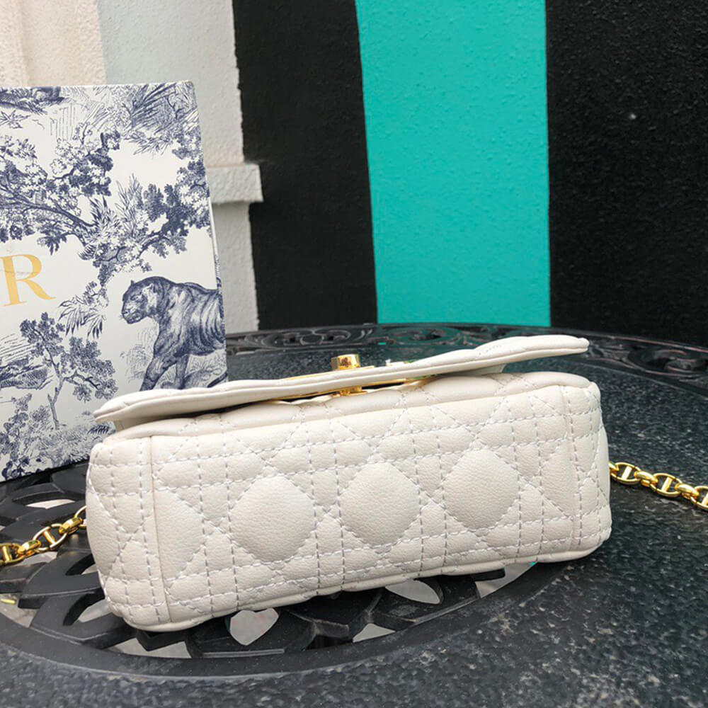 SMALL D10r CARO BAG