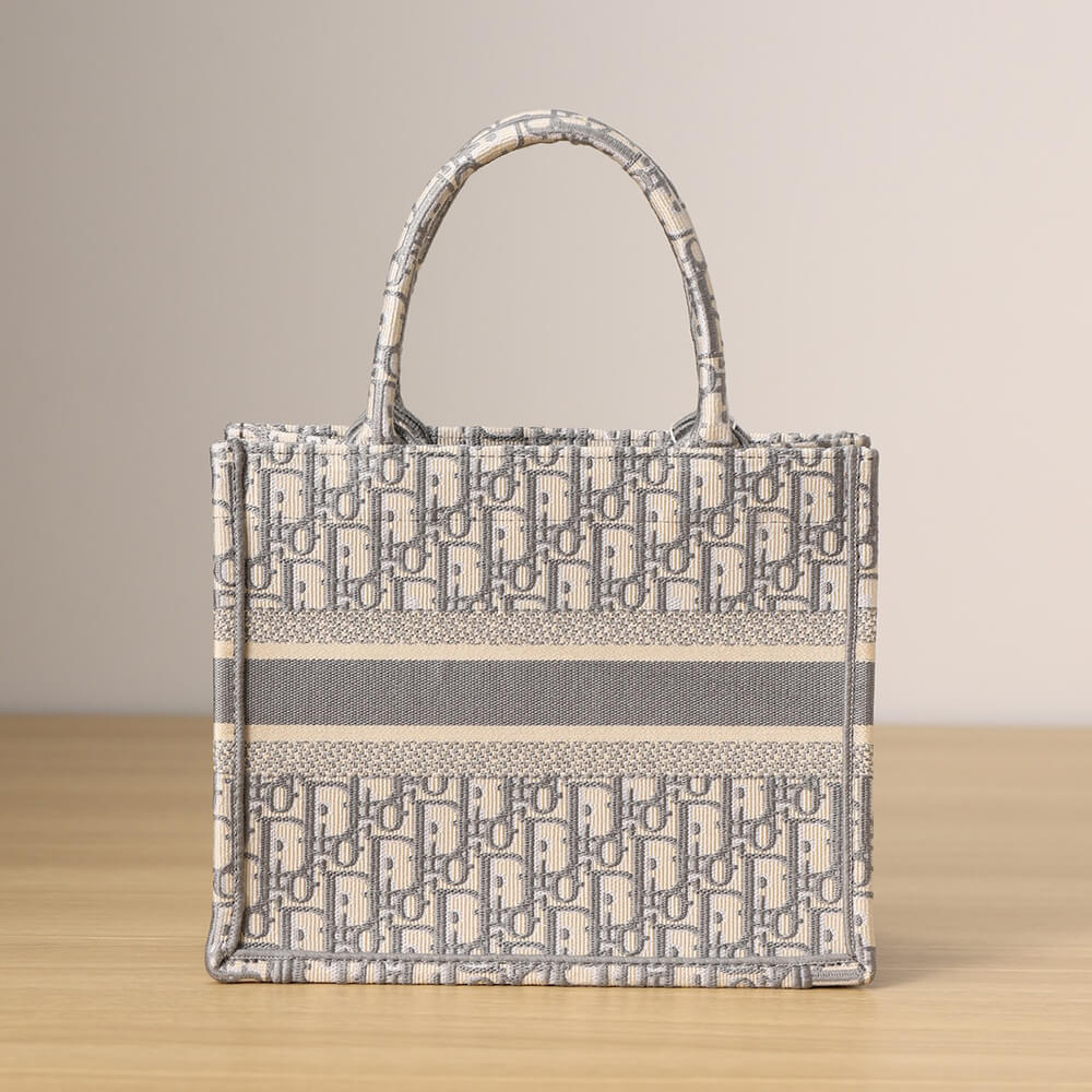 SMALL D10r BOOK TOTE