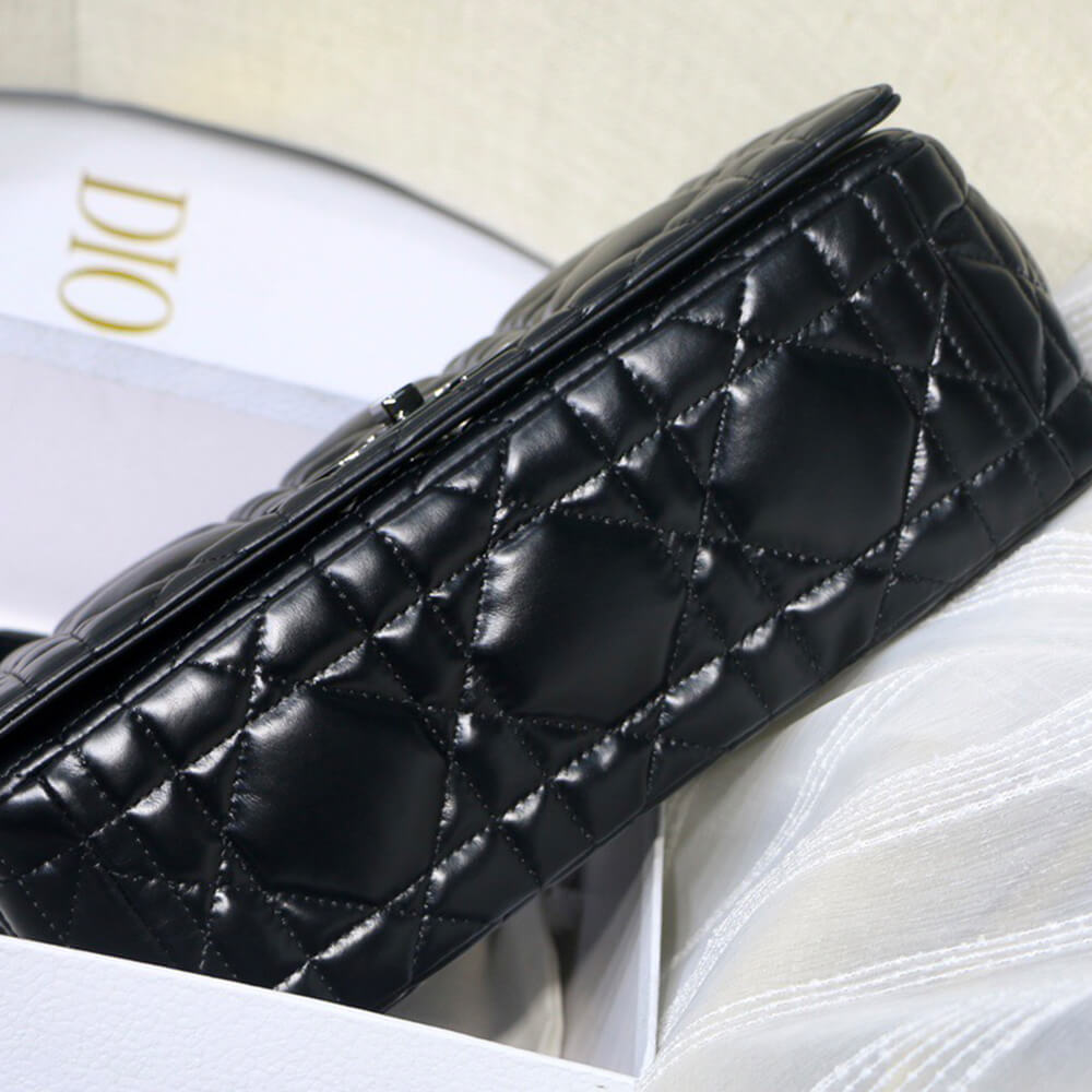 Large D10r Caro Bag