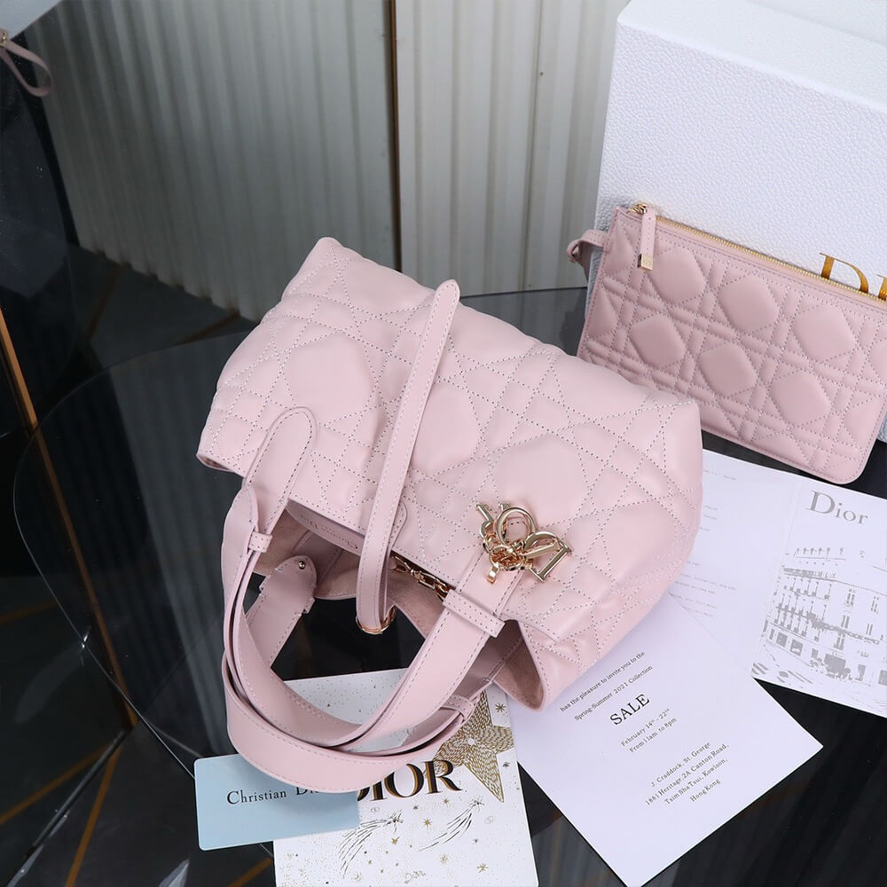 SMALL D10r TOUJOURS BAG(HIGH-END GRADE)