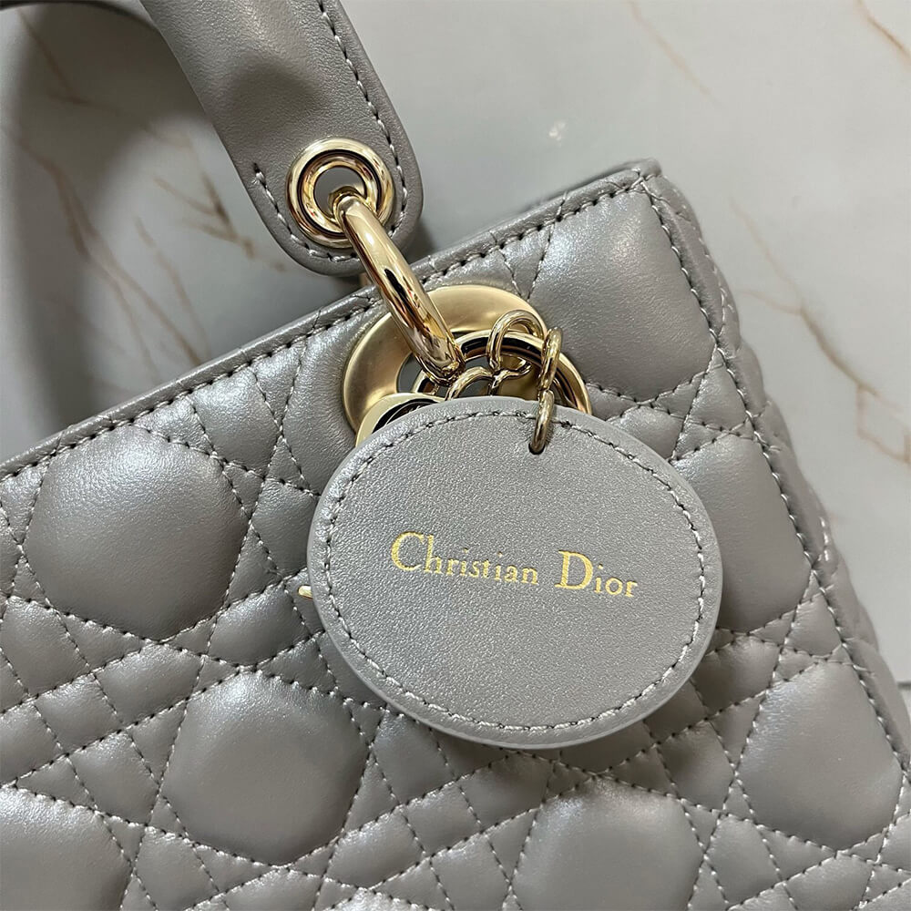 SMALL LADY D10r MY ABCD10r BAG