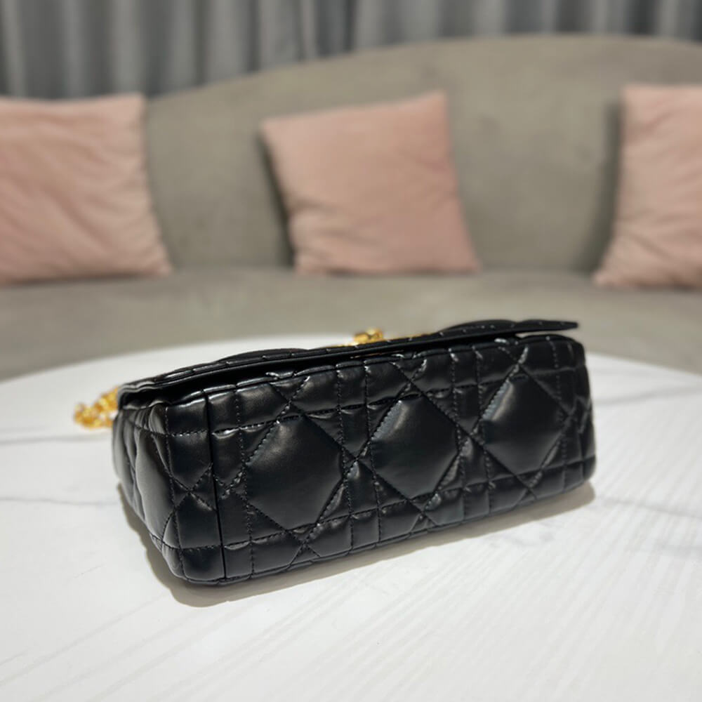 MEDIUM D10r CARO BAG