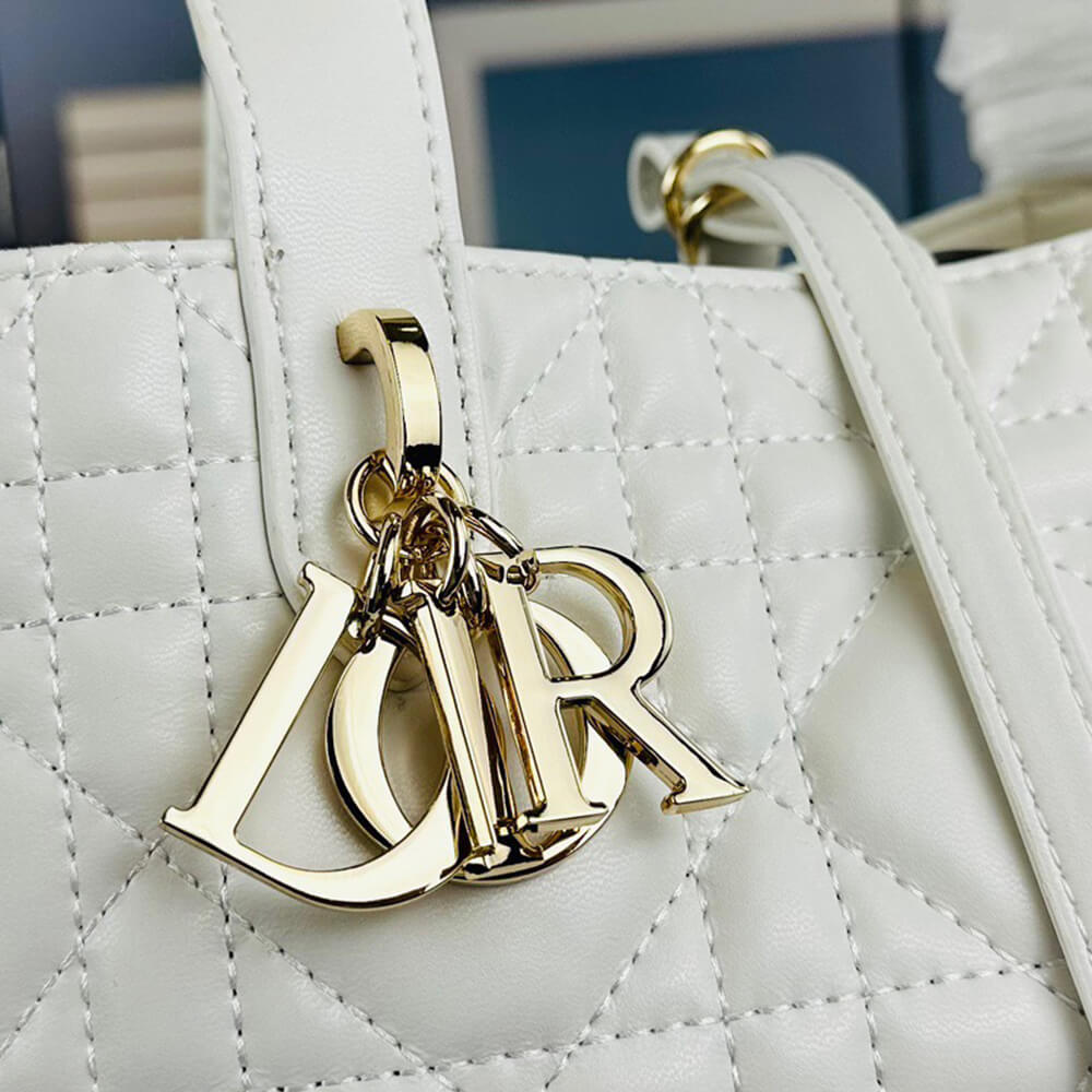 SMALL D10r TOUJOURS BAG