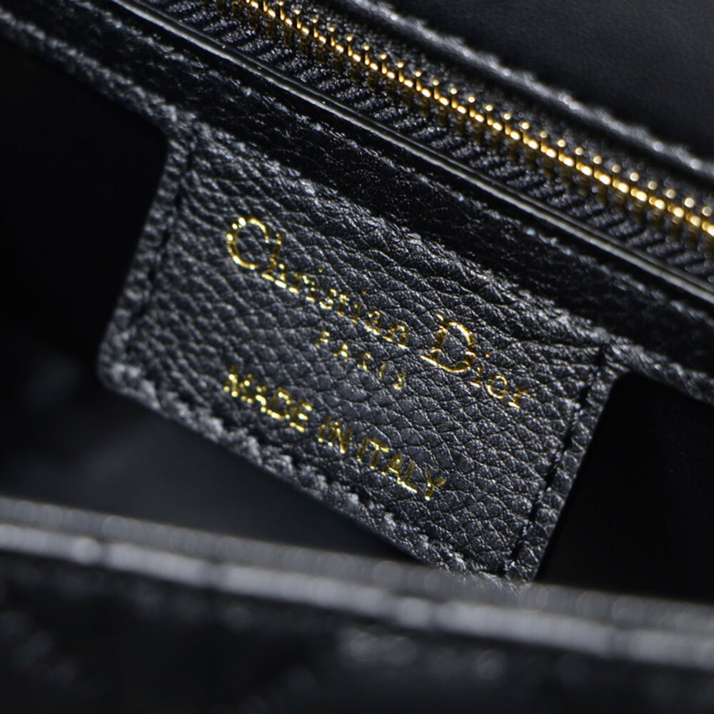 SMALL D10r CARO BAG