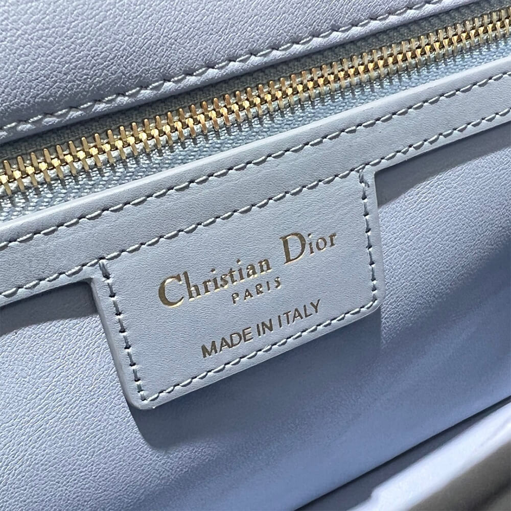 MEDIUM D10r CARO BAG