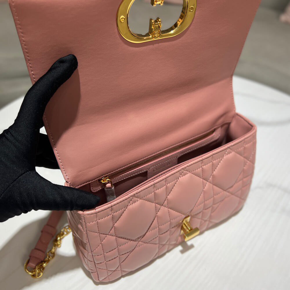 MEDIUM D10r CARO BAG