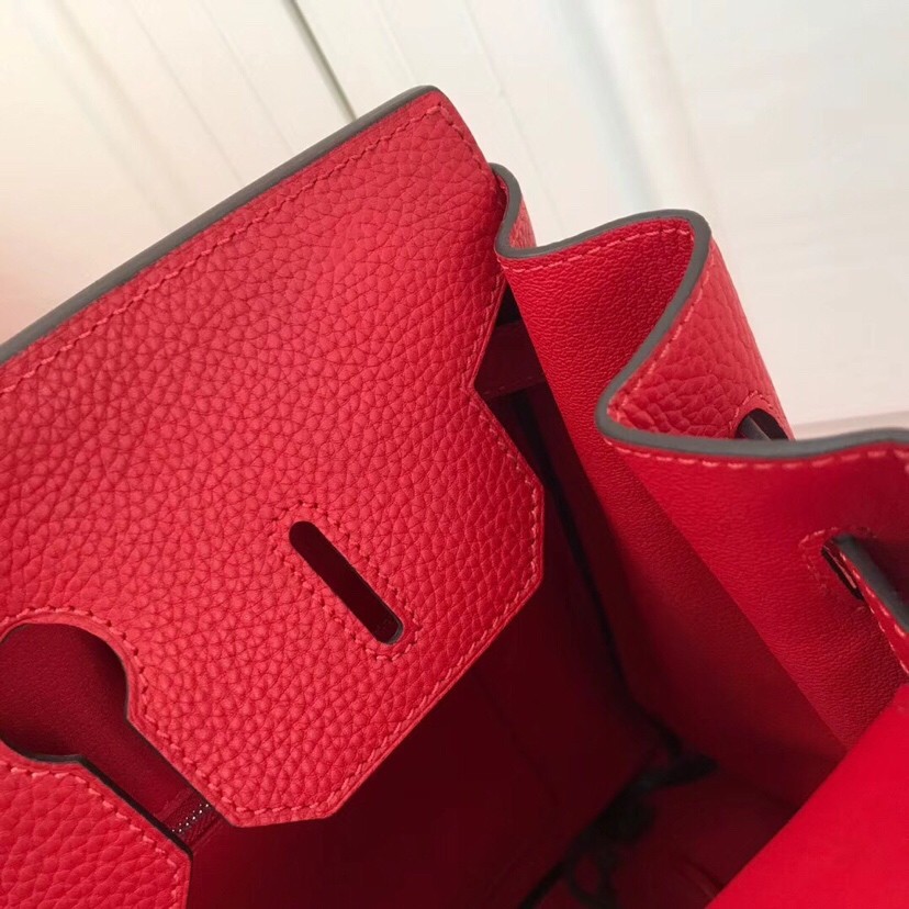 H**me5 BIRKIN BAG 25