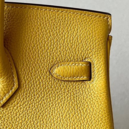 H**me5 BIRKIN BAG 25