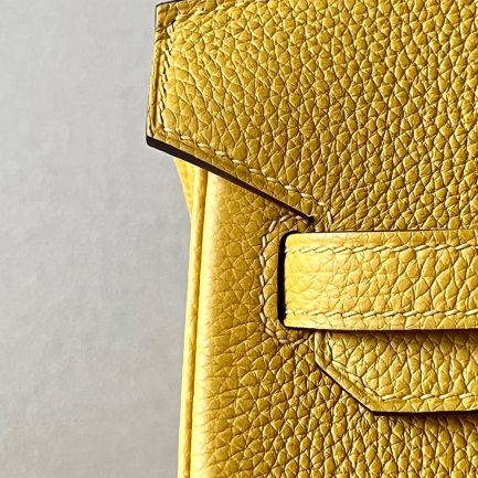 H**me5 BIRKIN BAG 25
